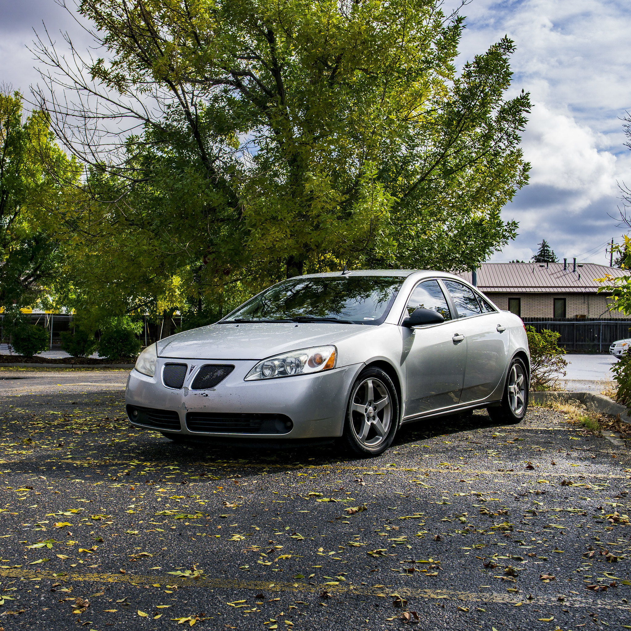 Pontiac G6 in Leaves